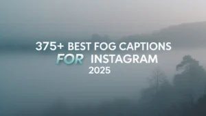 375+ Best Fog Captions for Instagram 2025