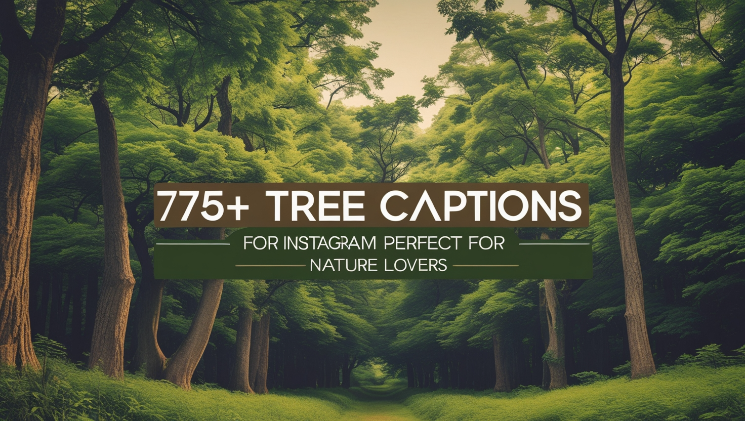 775+ Tree Captions for Instagram Perfect for Nature Lovers