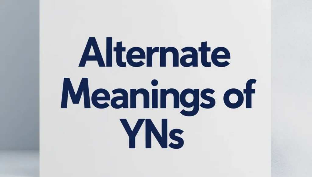 Alternate Meanings of YNS in Slang and Text