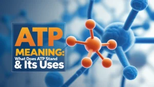 ATP Meaning : What Does ATP Stand & Its Uses